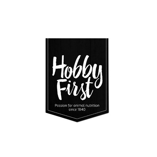 HOBBYFIRST-500×500